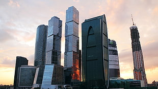 photo of concrete high-rise buildings during golden hours