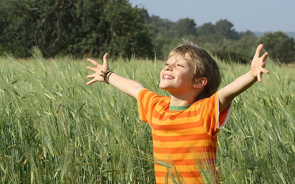 boy in orange stripes shirt on green grass field HD wallpaper