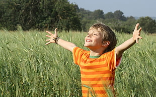 boy in orange stripes shirt on green grass field HD wallpaper
