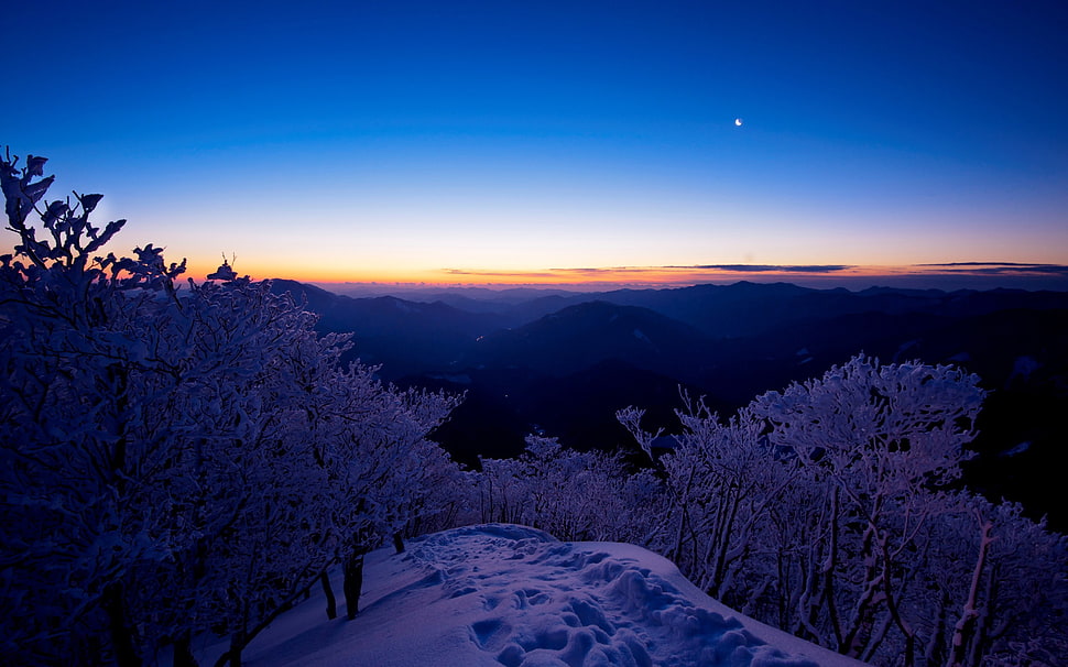 mountain landscape, snow, trees, sunset, nature HD wallpaper