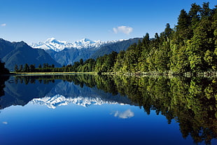 trees beside body of water under blue sky wallpaper, landscape, lake, nature, Lake Matheson