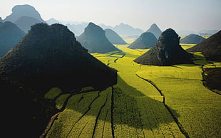 aerial view photo of mountains in grass field, photography, nature, landscape, rice paddy