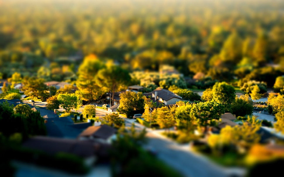 tilt shift HD wallpaper