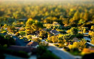 tilt shift