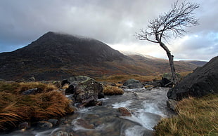 body of water near brown grass land
