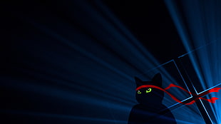 ninja cat digital wallpaper, Windows 10, Windows 10 Anniversary, Ninja Cat