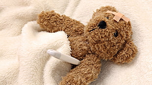 brown bear plush toy, teddy bears, injured