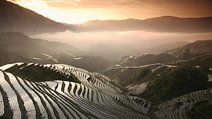 rice terraces during sunrise