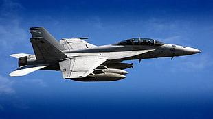 gray jet plane, aircraft, McDonnell Douglas F/A-18 Hornet