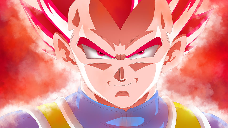 Dragonball Z Vegeta, Dragon Ball Super, Super Saiyan God, Vegeta, Dragon Ball HD wallpaper