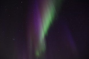 photography of aurora