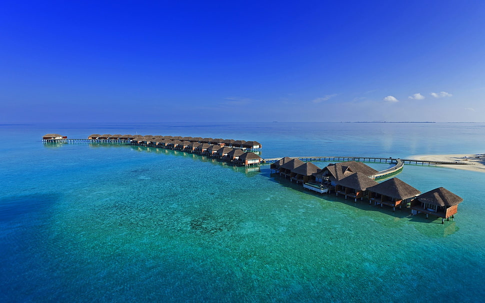 silver-colored diamond ring, Bora Bora HD wallpaper