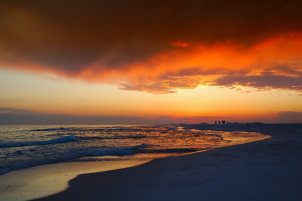 ocean during golden hour HD wallpaper