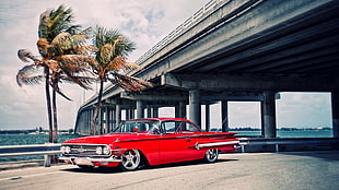 red coupe, car, red cars, palm trees, bridge