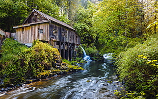 woodenhouse near river between trees HD wallpaper