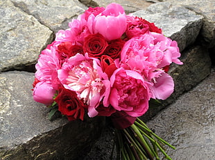 pink Peony and red Rose flower bouquet HD wallpaper