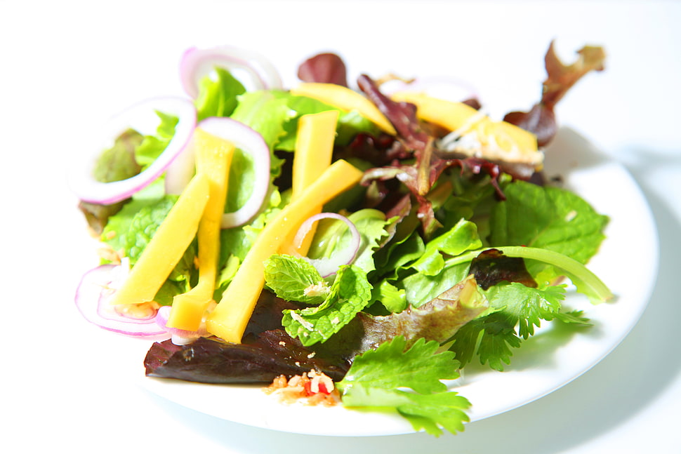 salad on white ceramic plate HD wallpaper