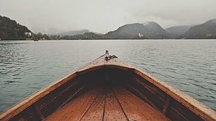black and brown wooden table, boat, rain