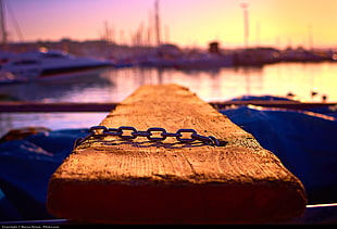 brown lumber with metal chain near at sea
