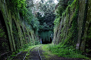 railway between green grasses HD wallpaper