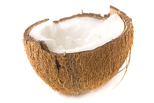 coconut shell with coconut meat HD wallpaper