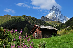 photo of brown house barn near mountains surrounded with green pine trees during daytime, swiss