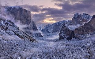 Yosemite National Park HD wallpaper