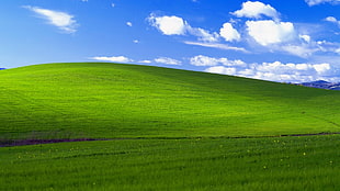 Windows desktop wallpaper