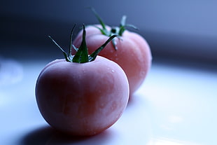 two frozen tomatoes HD wallpaper
