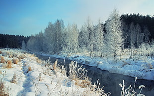 river during winter HD wallpaper