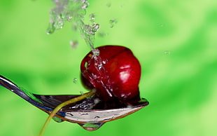 selective focus photographed of red cherry fruit