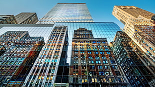 gray building, cityscape, building, reflection, mirror