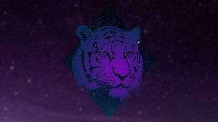 illustration of tiger's face, animals, tiger, galaxy HD wallpaper