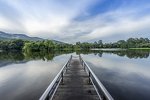 photo of bridge above body of water near green tress during daytime
