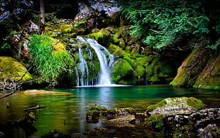 green and blue waterfalls HD wallpaper