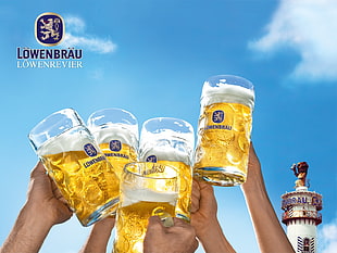 clear glass mugs, beer, alcohol, Löwenbräu, drinking glass