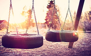 photo of two tire swings