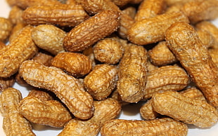 shallow focus photography of peanuts