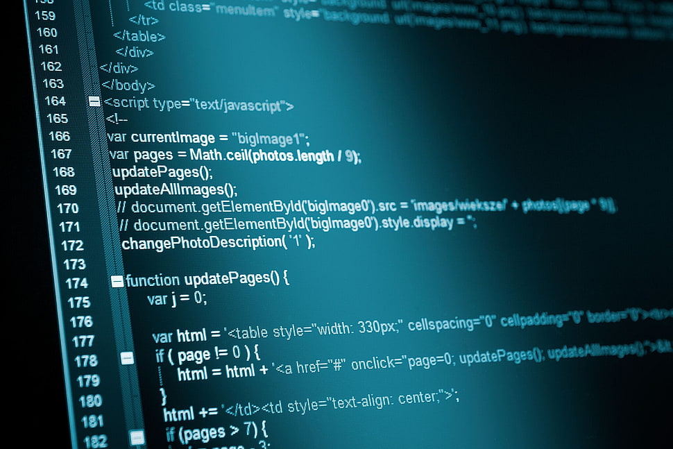 close up photo of computer codes display HD wallpaper