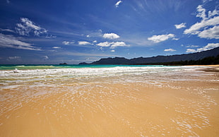 body of water, beach, sand, sea, nature
