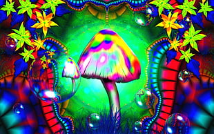 multicolored mushroom illustration, mushroom, colorful, psychedelic, LSD HD wallpaper