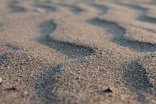 closeup photo of sand