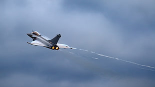 white and black jet plane, airplane, military, air force, Dassault Rafale