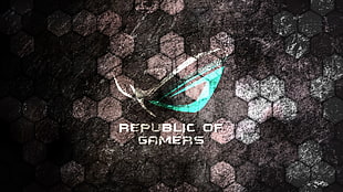 Republic of Gamers poster, Republic of Gamers HD wallpaper