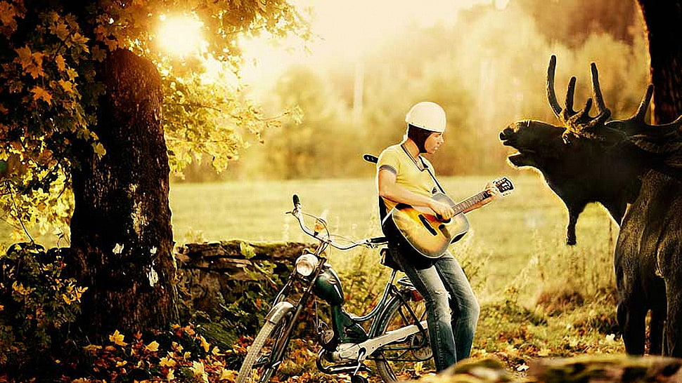 man playing guitar standing at bicycle infront deer painting HD wallpaper