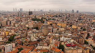 brown and white area rug, city, Istanbul, Turkey, cityscape HD wallpaper