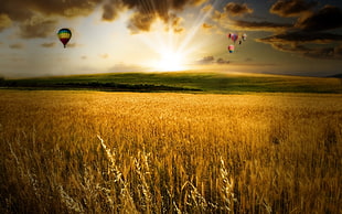 grass field with hot air balloon on sky during golden hour