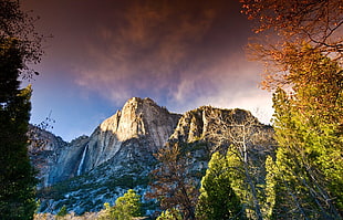 brown and blue mountain, Yosemite National Park, waterfall, mountains, forest HD wallpaper