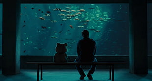 man sitting beside bear plush toy, Ted, aquarium, movies HD wallpaper