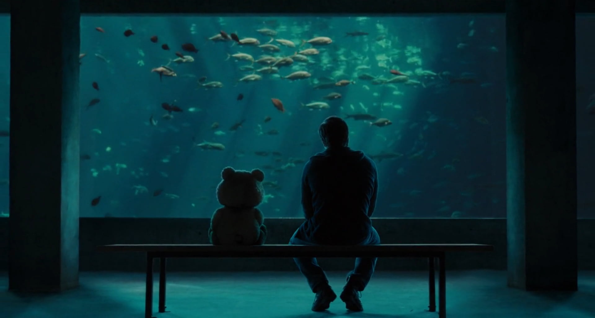 man sitting beside bear plush toy, Ted, aquarium, movies